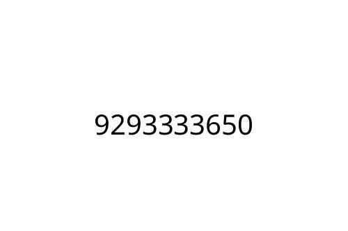 9293333650