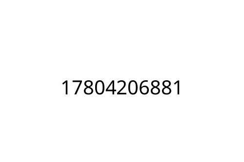 17804206881