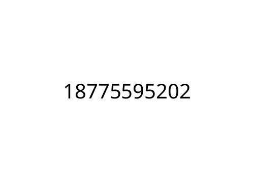 18775595202