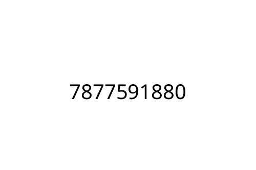 7877591880