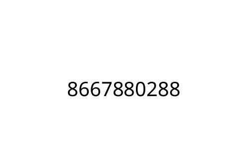 8667880288