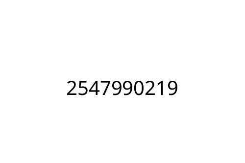 2547990219