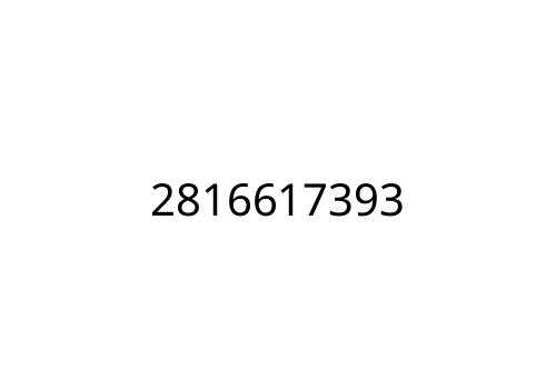 2816617393