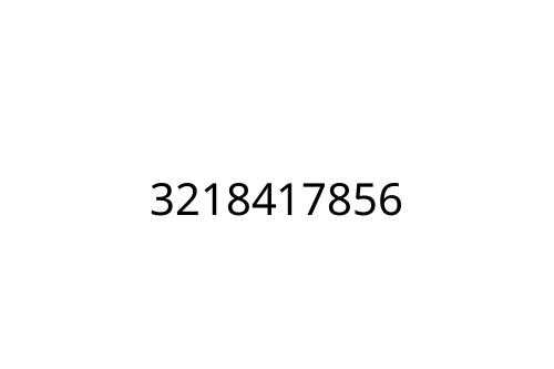 3218417856