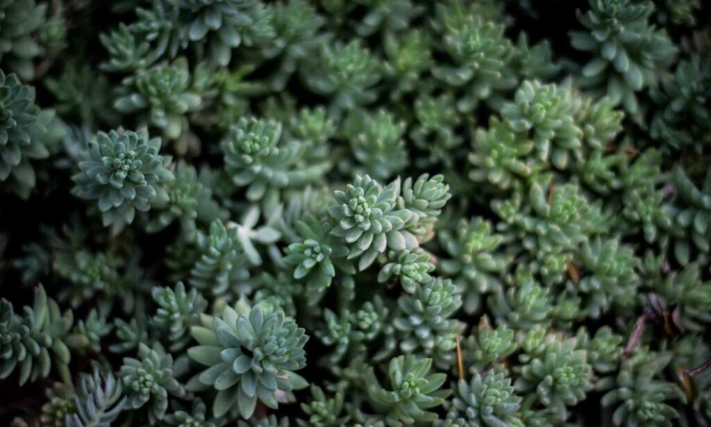 ai graphic design gfxrobotection