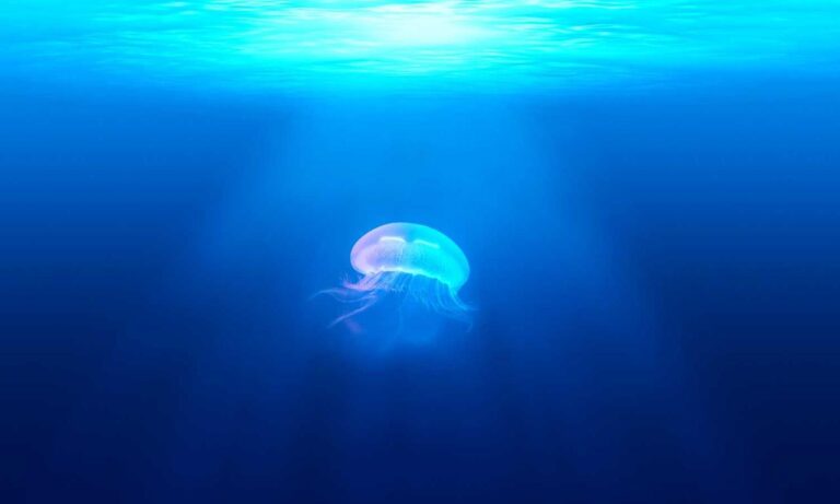 best updates buzzardcoding