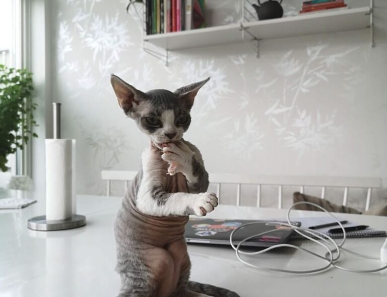 buzzardcoding code advice from feedbuzzard