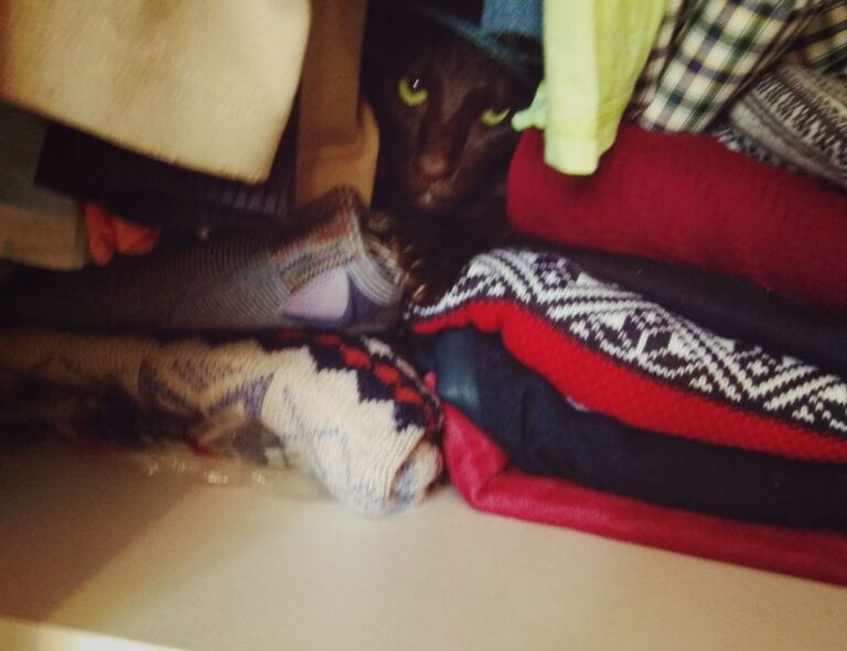 genboostermark software