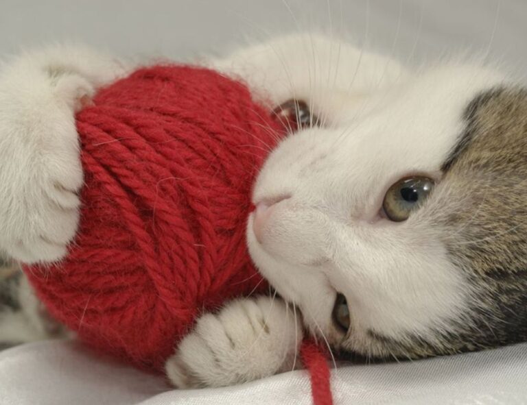 gfxdigitational tech news by gfxmaker