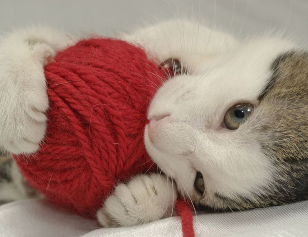 gfxdigitational tech news by gfxmaker