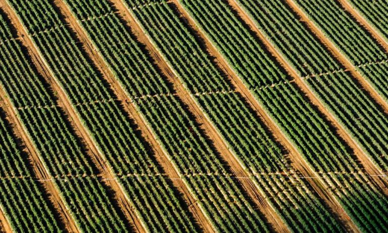 gfxprojectality tech trends from gfxmaker