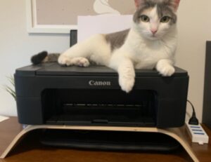 grandiamod1.2 download