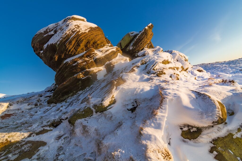 graphic design software gfxrobotection