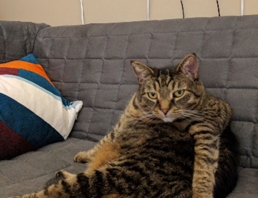 how digital technology shapes us gfxrobotection