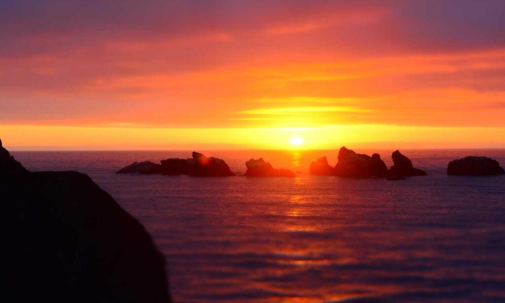 latest hacks buzzardcoding