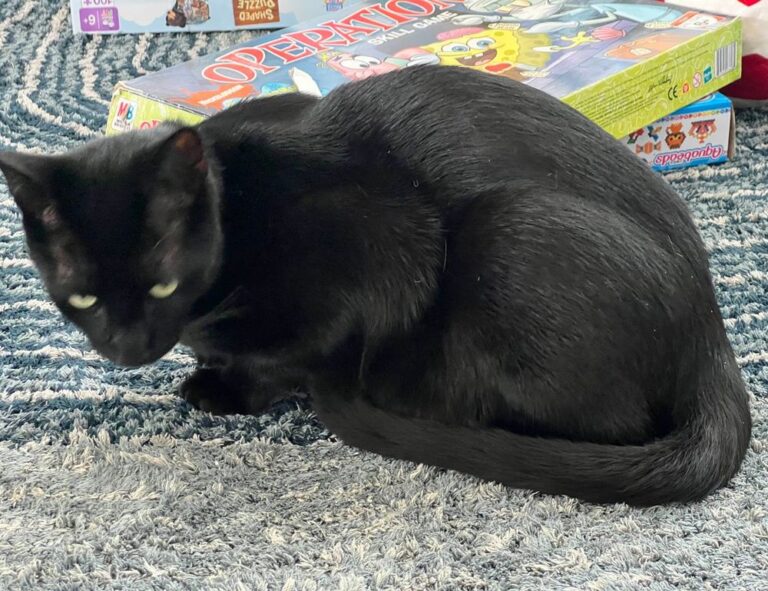 robotic application gfxrobotection