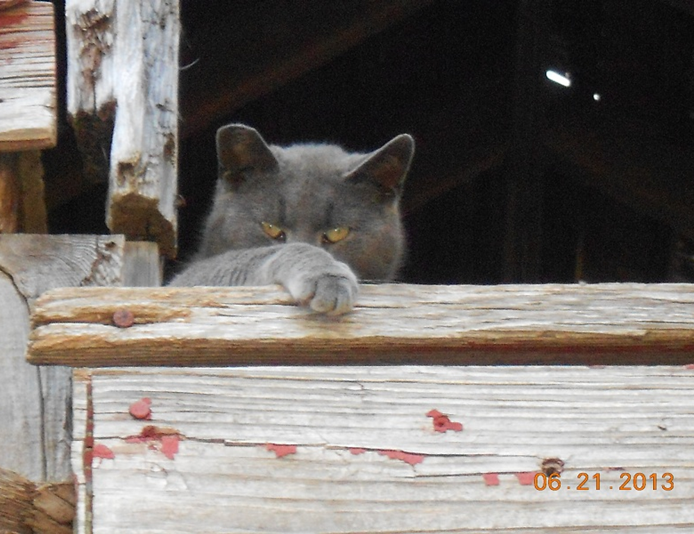 technology news gfxdigitational