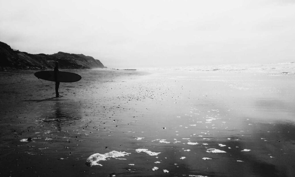 what are higossis brush made of