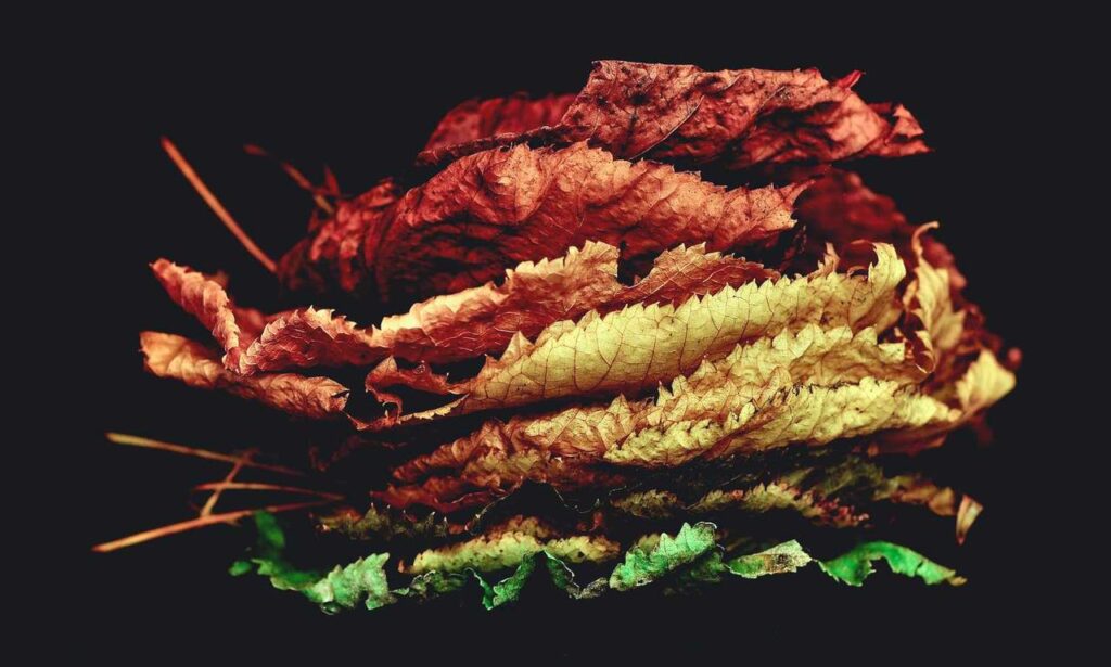 where do most graphic designers work gfxdigitational