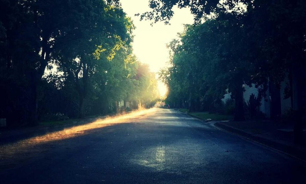 1441 significado amor