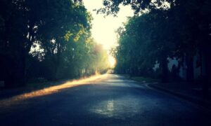 1441 significado amor