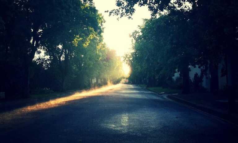 1441 significado amor