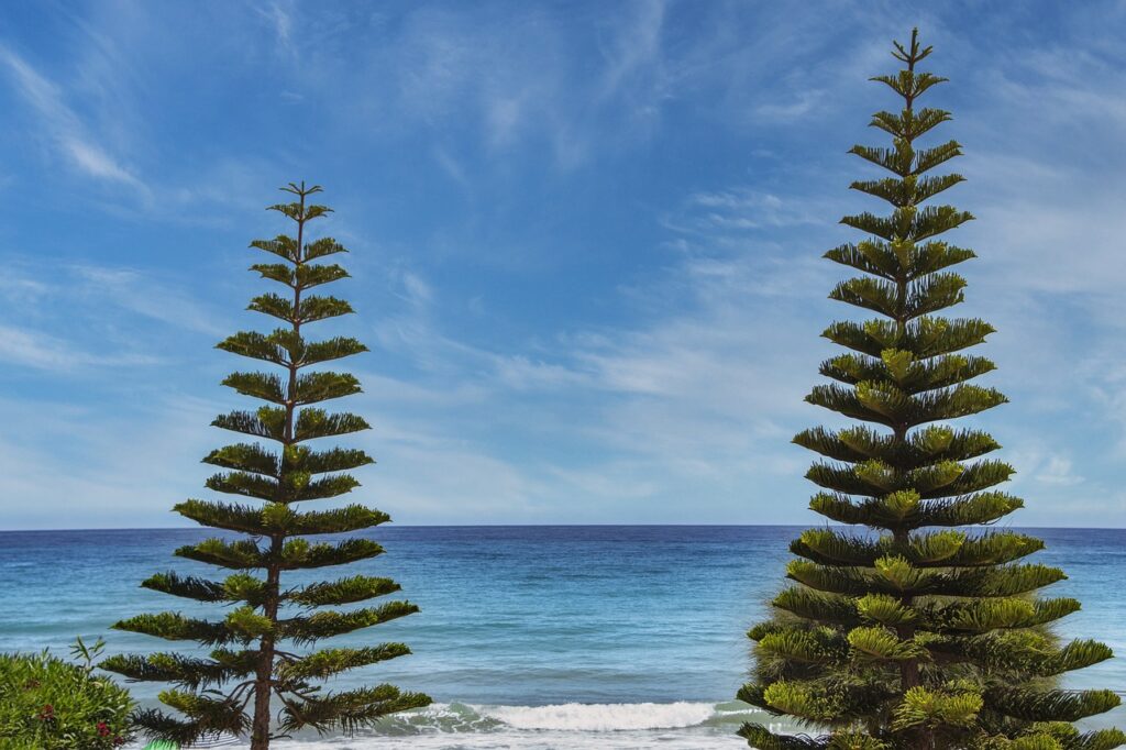 cameraman skibidi dibujo para colorear