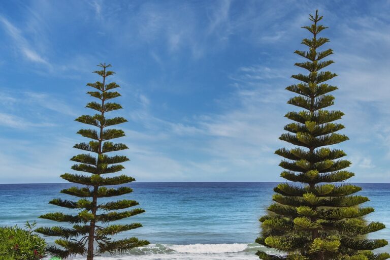 cameraman skibidi dibujo para colorear