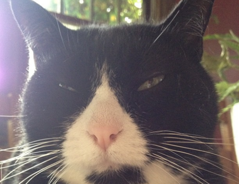 kevin olguin instagram