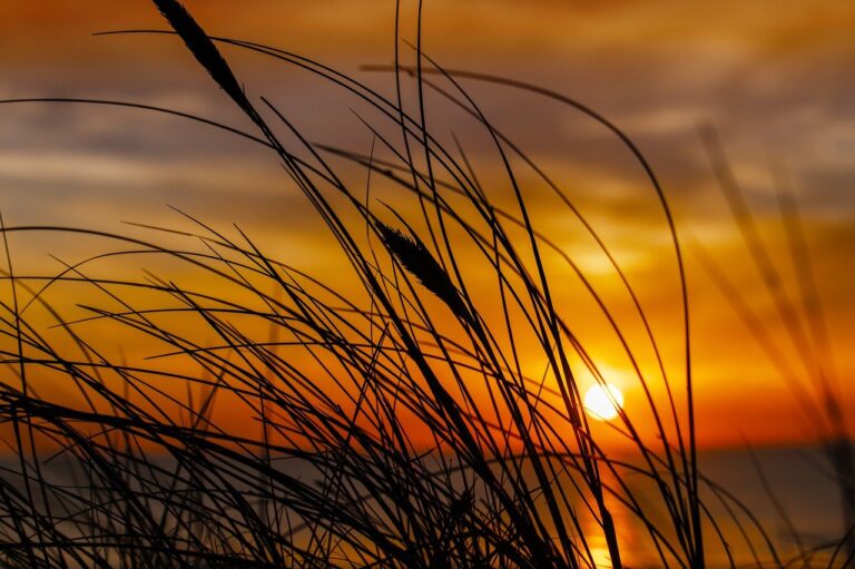 my melody y kuromi para colorear