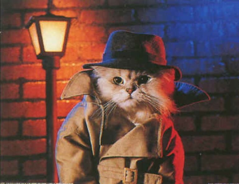 photo dance apk premium