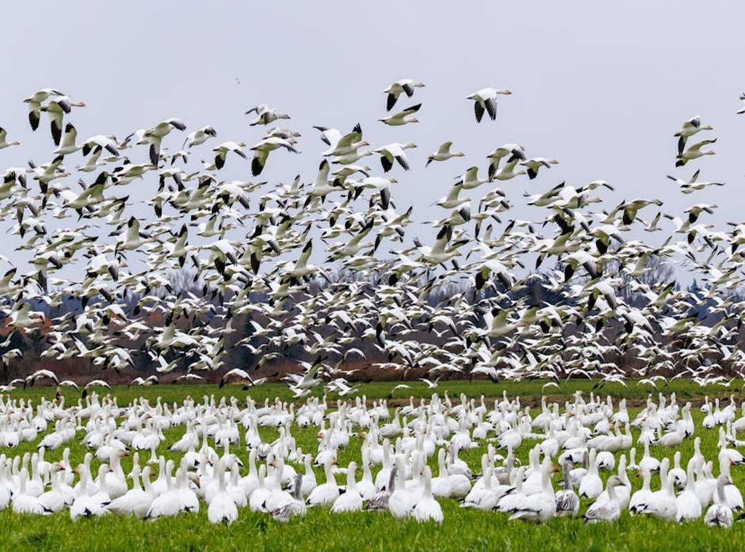 Excntech Technology News by Eyexcon