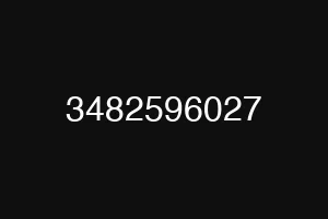 3482596027