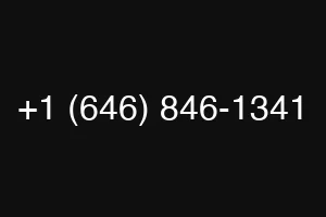 +1 (646) 846-1341
