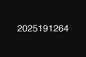 2025191264