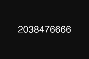 2038476666