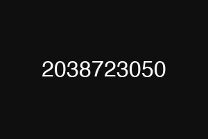 2038723050