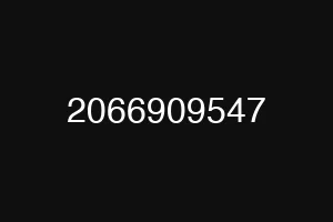2066909547