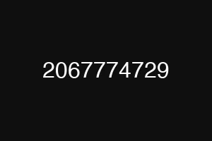 2067774729