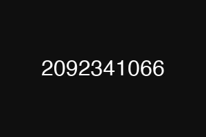2092341066