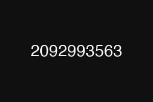 2092993563