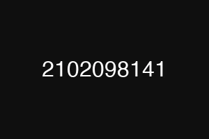 2102098141