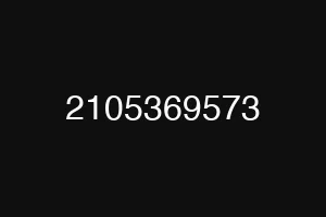 2105369573