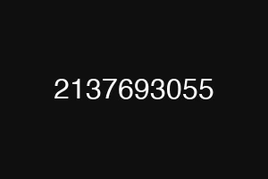 2137693055