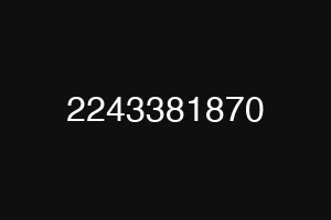 2243381870