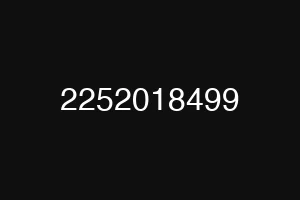 2252018499