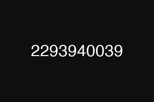 2293940039