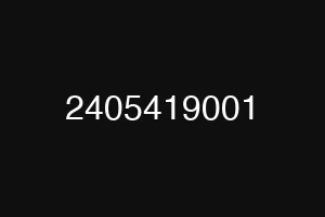 2405419001