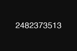 2482373513