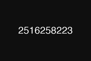 2516258223